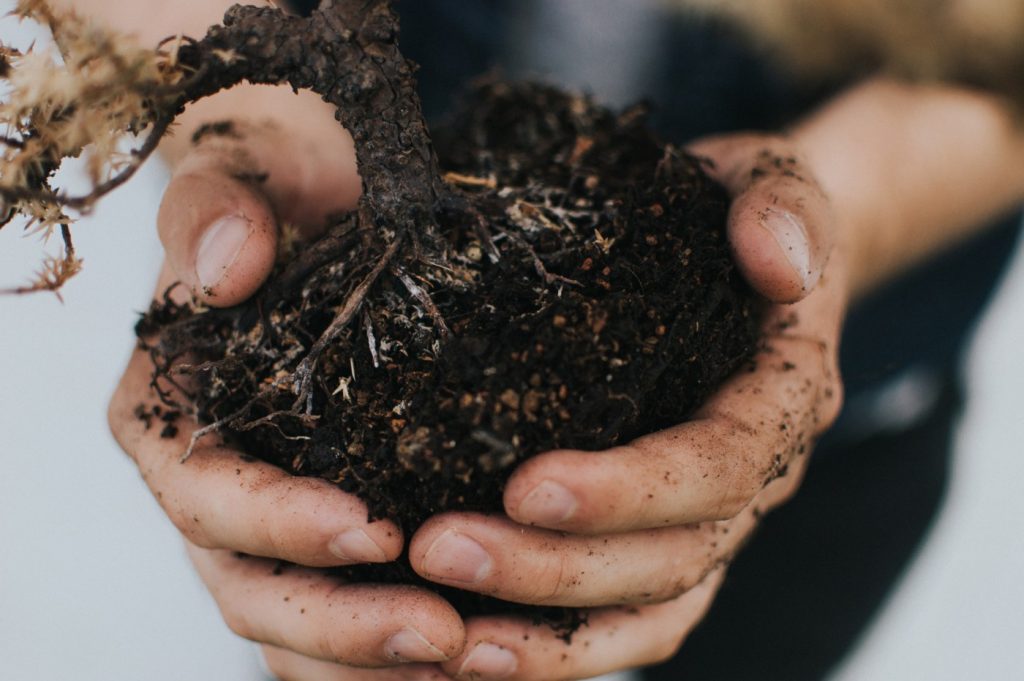 Milpitas residents can get free compost