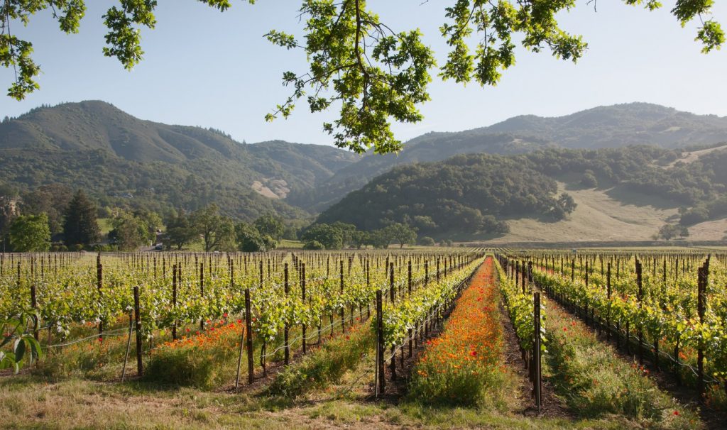 Sonoma wine country weekend: Exploring Kenwood in the Valley of the Moon