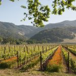 Sonoma wine country weekend: Exploring Kenwood in the Valley of the Moon