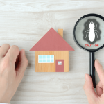 Experts at Pacific Coast Termite offer Essential Tips to Prevent Termite Infestation in Your Home