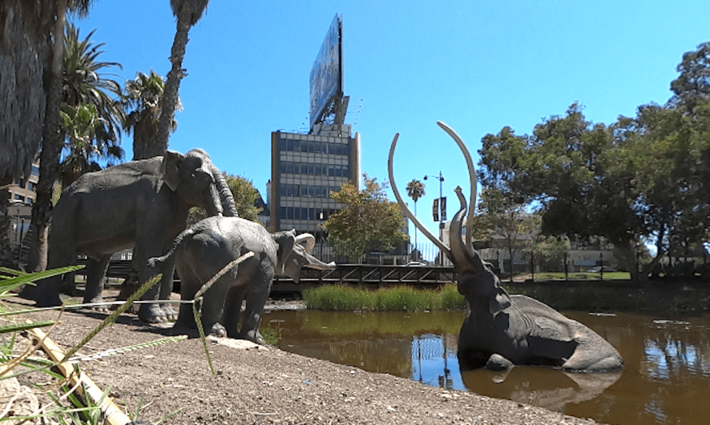 Teens on field trip overdose on cannabis edibles at Los Angeles’ La Brea Tar Pits