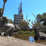 Teens on field trip overdose on cannabis edibles at Los Angeles’ La Brea Tar Pits