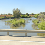 Mother missing in San Joaquin River after going in to rescue child