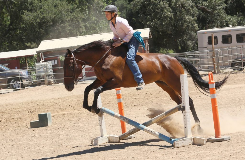 Midpen delays decision on possible closure of Bear Creek Stables