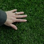 Keep artificial turf off Santa Clara County property: Letter to the editor