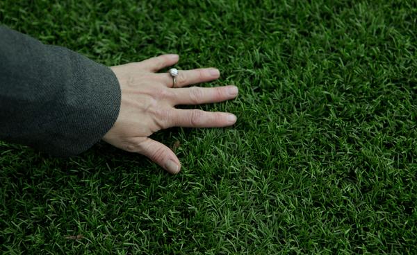 Better ways to save water than fake turf: Letter to the editor