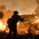 Learn to landscape for fire safety in the Bay Area: Letter to the editor