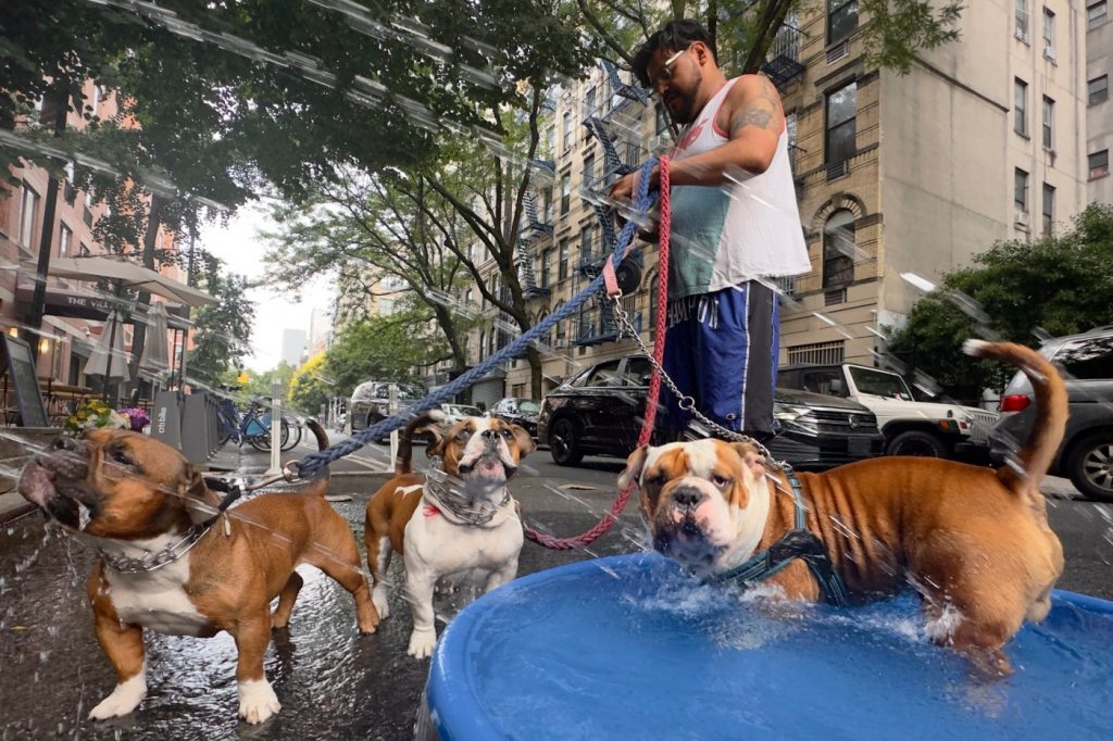 Photos: It’s hot out here, there and nearly everywhere!