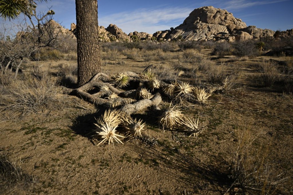 The West is warming and drying so fast that a crucial drought-monitoring tool can’t keep up, study says