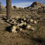 The West is warming and drying so fast that a crucial drought-monitoring tool can’t keep up, study says