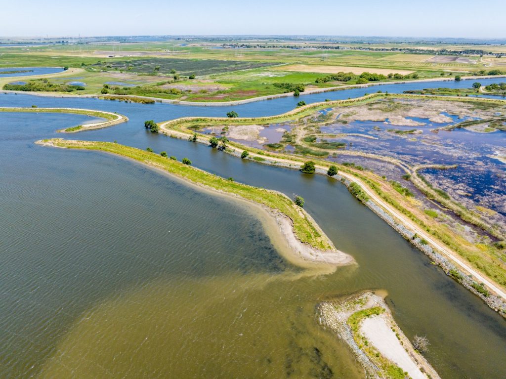 Opinion: Saving California’s Delta fish demands bold new strategies