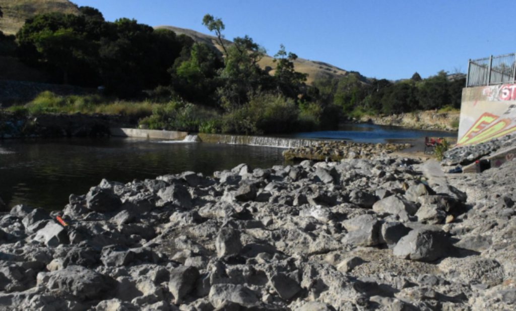 Drowning of 11-year-old girl in Alameda Creek brings water warnings from authorities