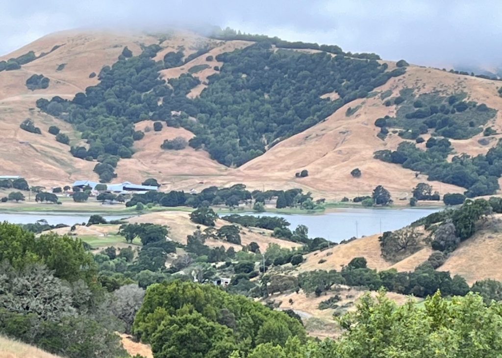 Marin hike: Novato trail full of wonderful surprises