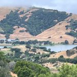 Marin hike: Novato trail full of wonderful surprises