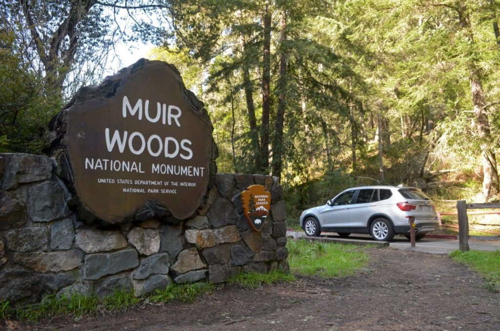 Marin coroner’s office ID’s man whose remains were found in Muir Woods in 1982