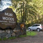 Marin coroner’s office ID’s man whose remains were found in Muir Woods in 1982