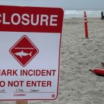 Swimmer seriously injured in shark attack on California coast