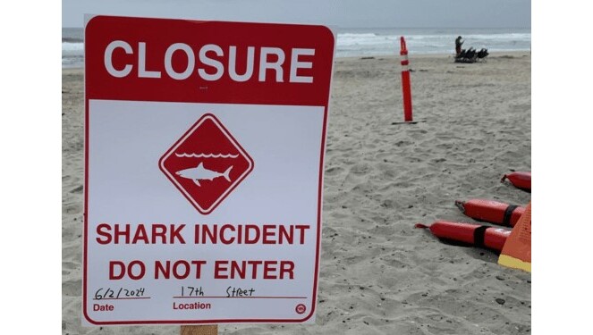 Swimmer seriously injured in shark attack on California coast