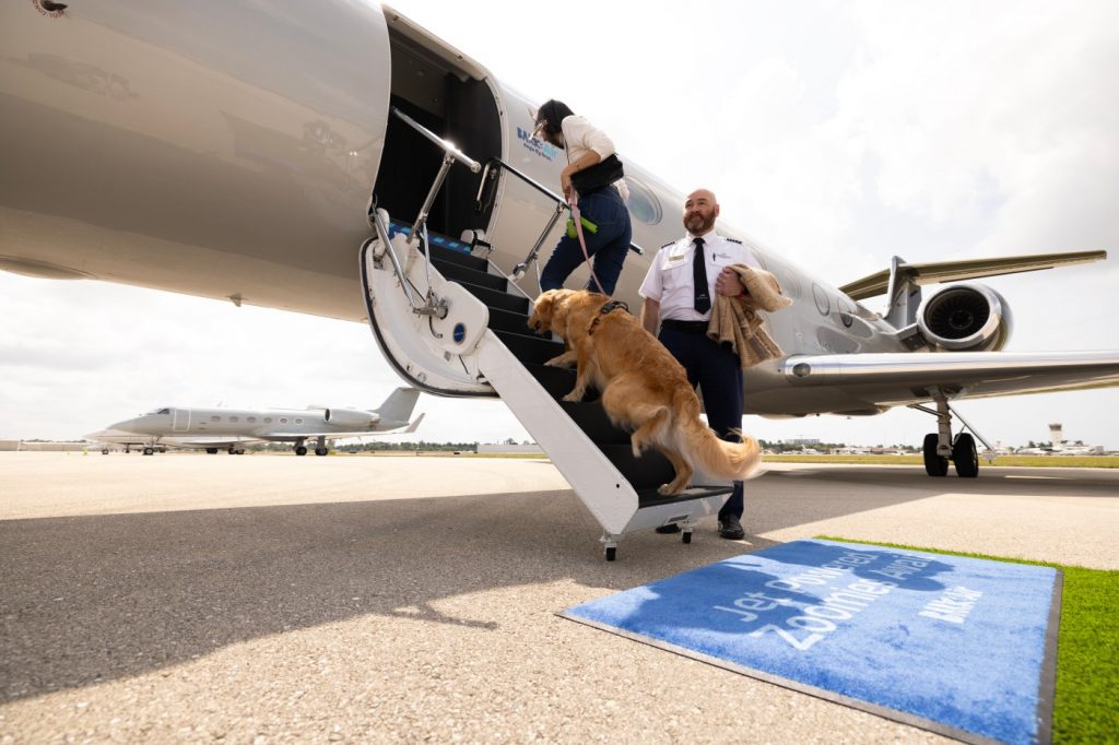 Dogs and their humans fly together on BARK Air, service coming to San Jose airport in the fall