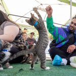 SJMADE Fest brings together creative makers, dancers (and cats)