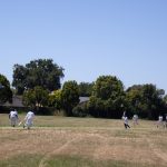 Cricket culture finds footing in Bay Area