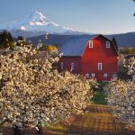 Pacific Northwest travel: Summer fun in Oregon’s Hood River Valley