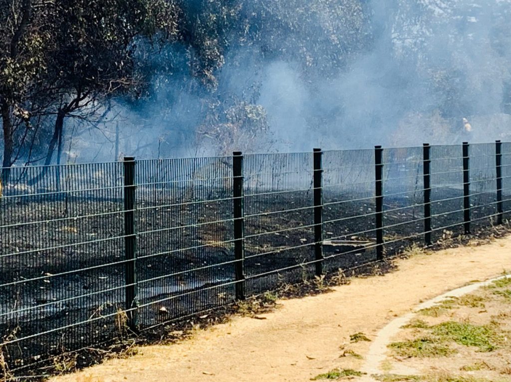 San Jose: Man arrested on suspicion of arson following park fires