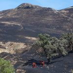 Patterson Fire and Corral Fire both 92% contained, Cal Fire reports