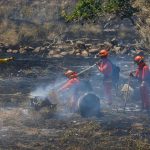 Fire season kicks off with California’s biggest blaze of the year, the Corral Fire near Livermore