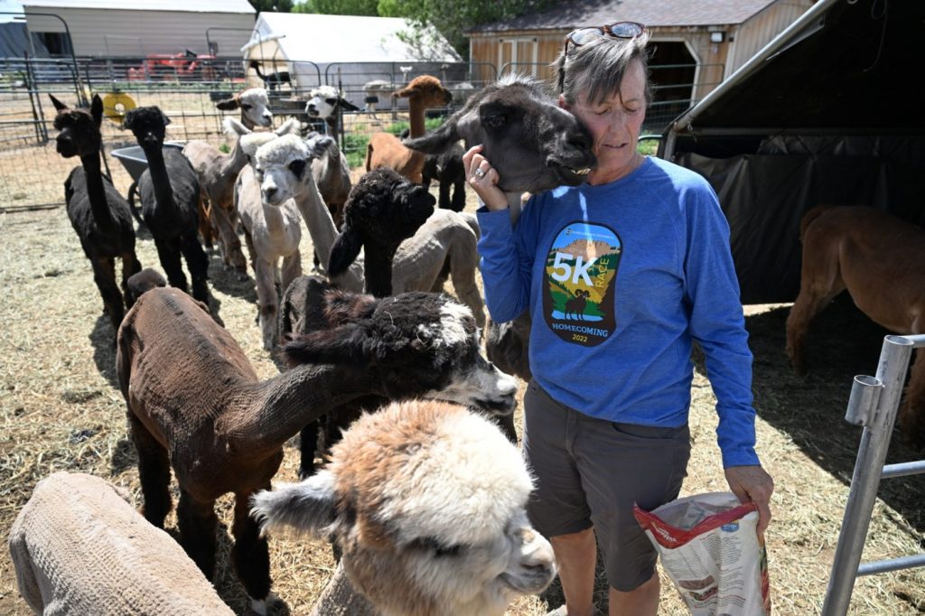 Tired of crowded campgrounds? Colorado company taps businesses to host RV travelers overnight