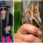 She wrapped an 8-foot python around her bike’s handlebars, so ‘it can’t wrap around me.’ The wild tale of how she saved a gator from a snake.