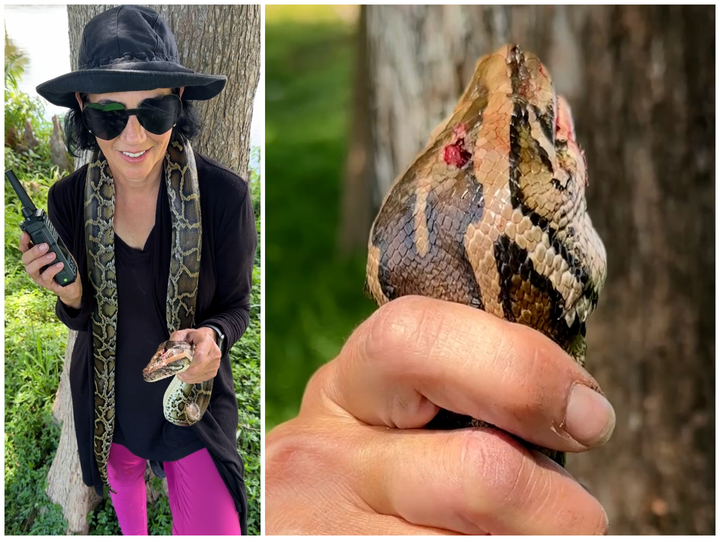 She wrapped an 8-foot python around her bike’s handlebars, so ‘it can’t wrap around me.’ The wild tale of how she saved a gator from a snake.