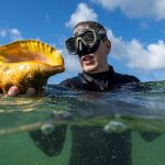 Florida conchs are in hot water. Can moving them deeper revive a plunging population?