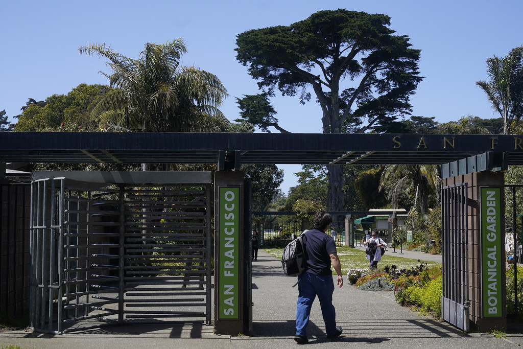 Officers kill 3 coyotes at Golden Gate Park after attack on 5-year-old girl