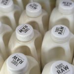 165 people sickened with salmonella after drinking raw milk from a central California farm