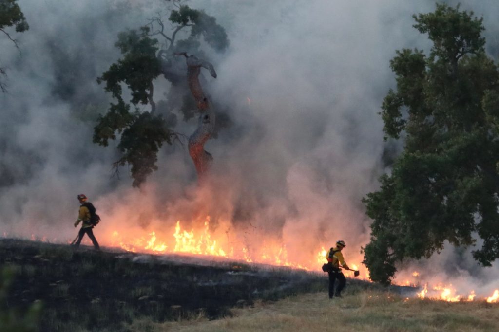 Los Gatos park fire started by a firework, county fire department says