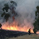 Los Gatos park fire started by a firework, county fire department says