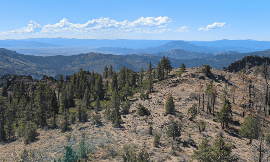 Rainbow Family moves to new Northern California campsite after ouster