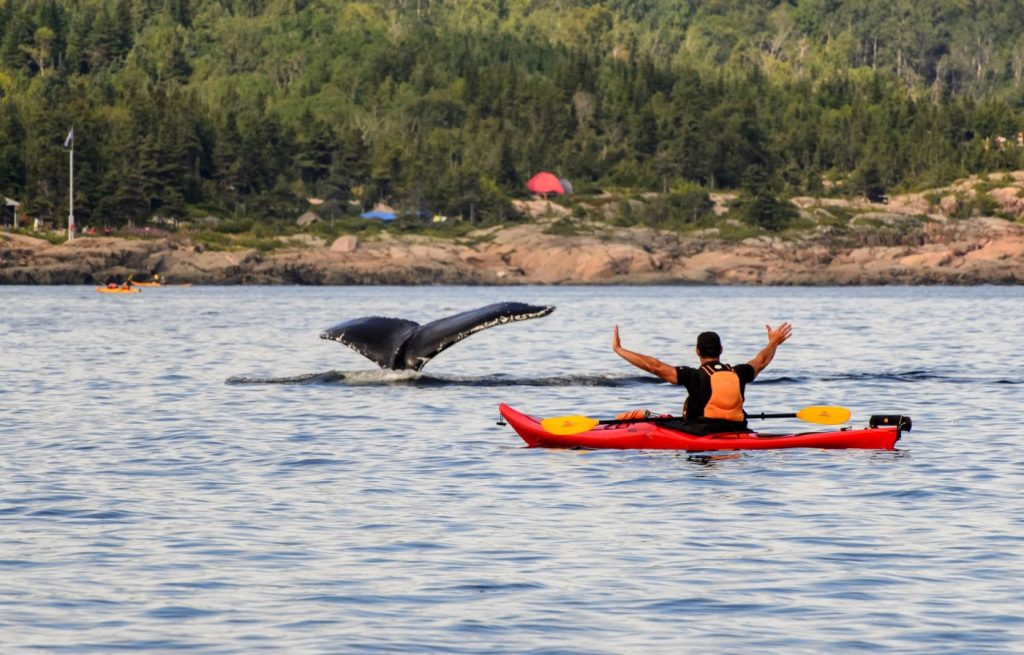 Kayaking in unusual places gives a unique perspective to sightseeing