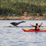 Kayaking in unusual places gives a unique perspective to sightseeing