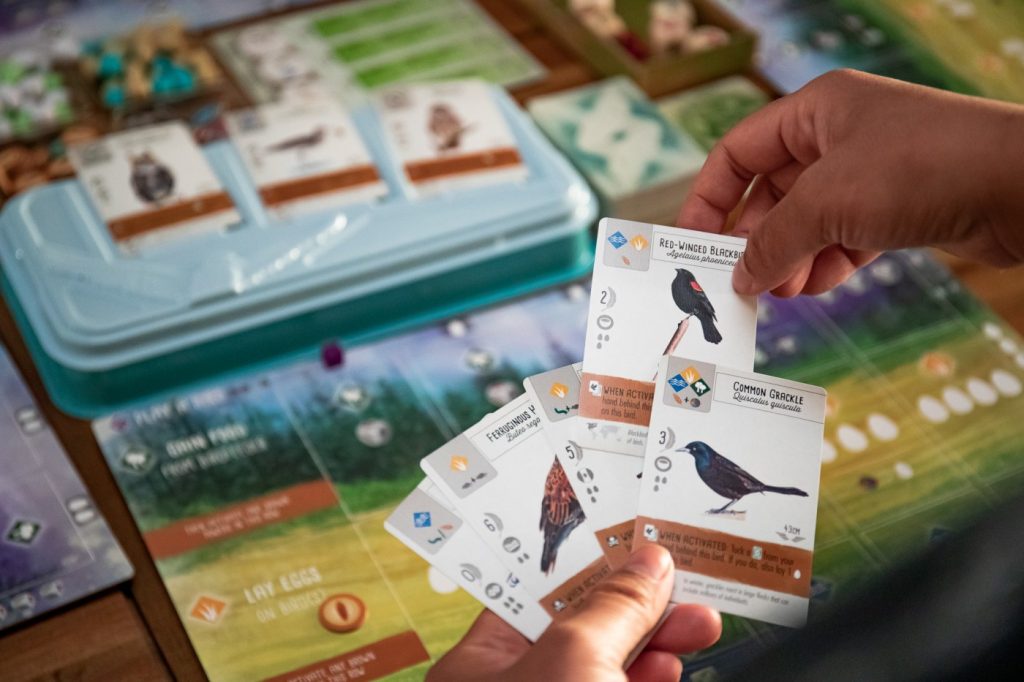 A board game for birders: How “Wingspan” used stunning bird illustrations to sell millions of copies