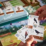 A board game for birders: How “Wingspan” used stunning bird illustrations to sell millions of copies