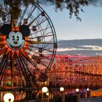 Disneyland mom responds to arrest: ‘Pure lies’ and ‘worst nightmare’