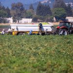 As extreme heat rises, Newsom blocks bill to protect California farmworkers