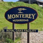 Sour California business climate helps spawn closure of big mushroom farm