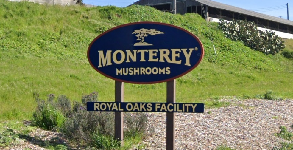 Sour California business climate helps spawn closure of big mushroom farm