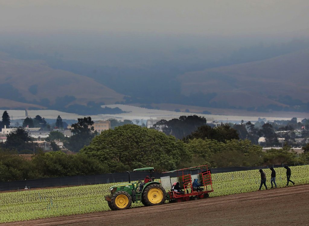 2023 winter storms force first drop in Santa Cruz County crop values in 4 years