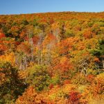 The best national parks for seeing spectacular fall foliage this year