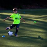 Los Gatos weighs artificial turf vs. real grass for sports park