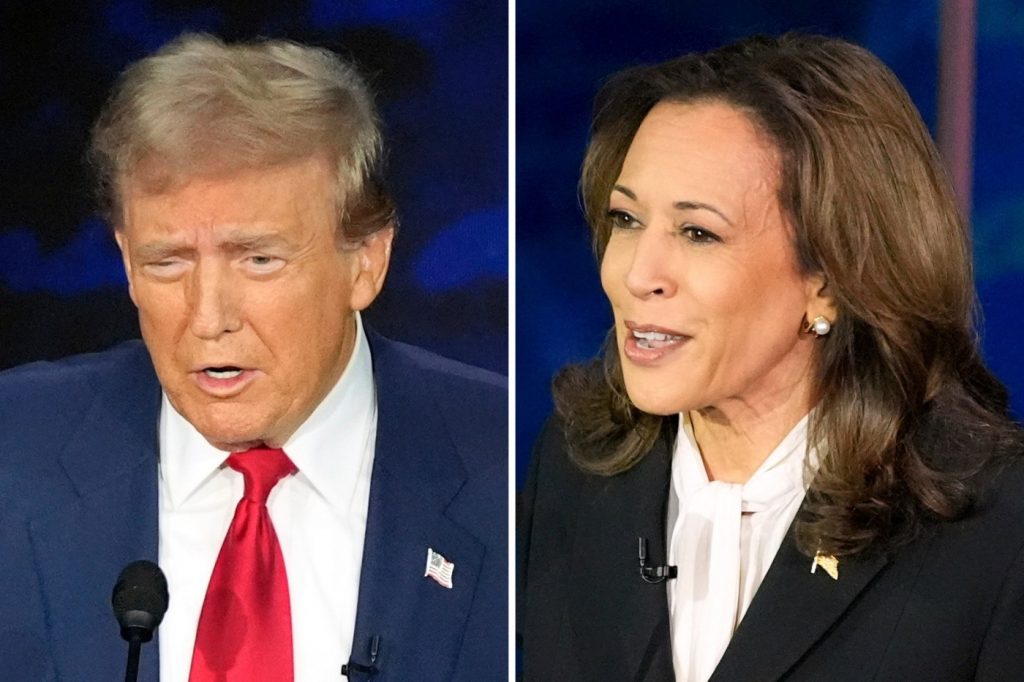 Voter guide: Where Harris and Trump each stand on key issues